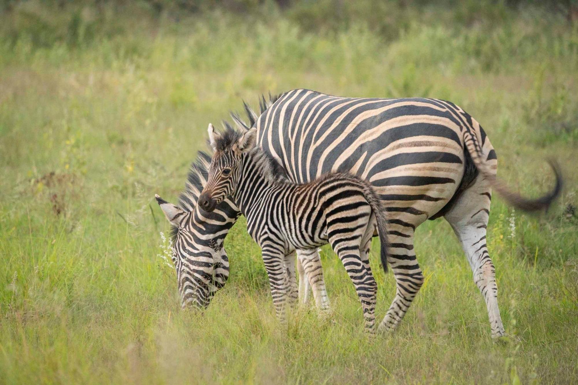 Ekuthuleni Lodge ストランド エクステリア 写真