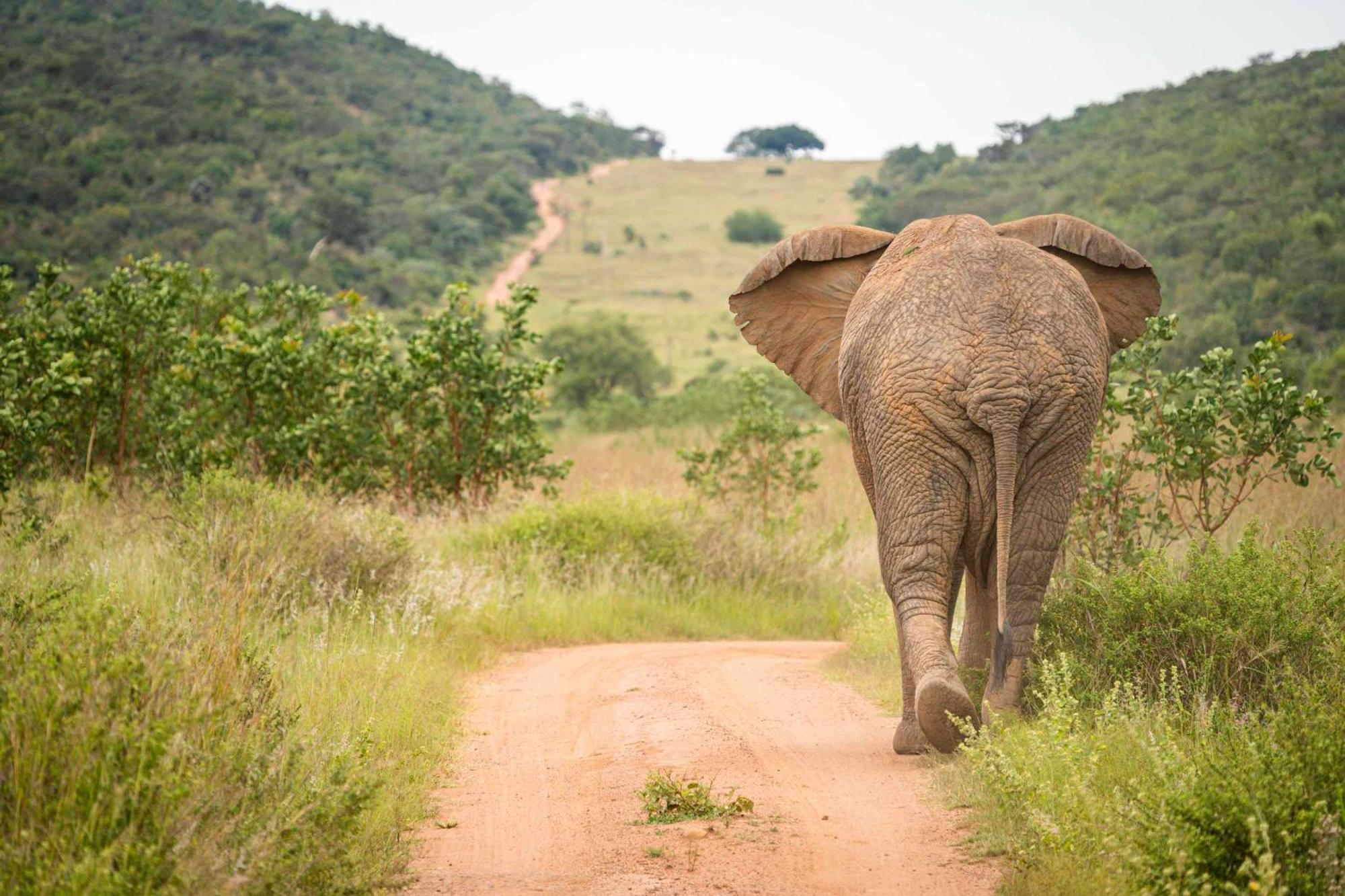 Ekuthuleni Lodge ストランド エクステリア 写真